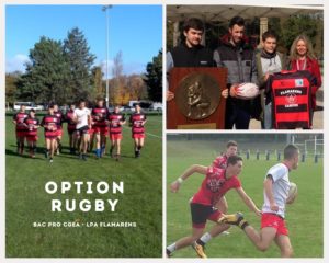 option rugby