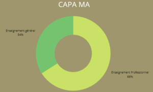 répartition enseignement CAPA