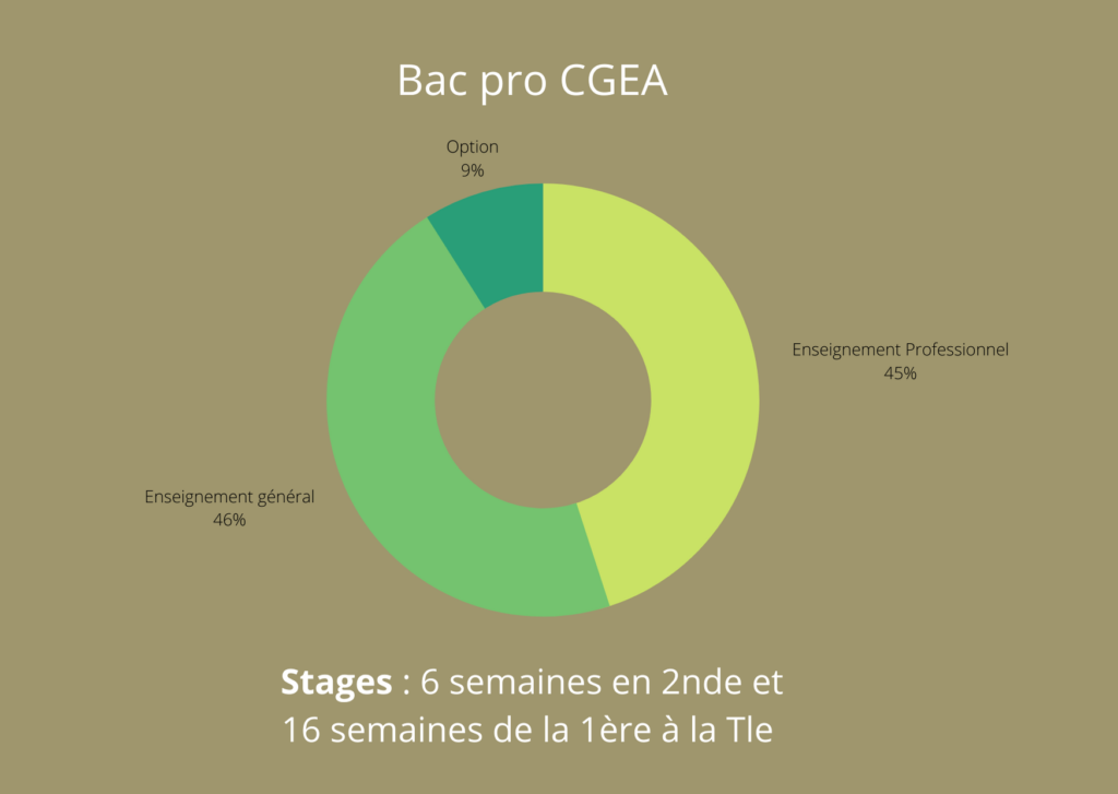 Graphique répartition horaire bac pro