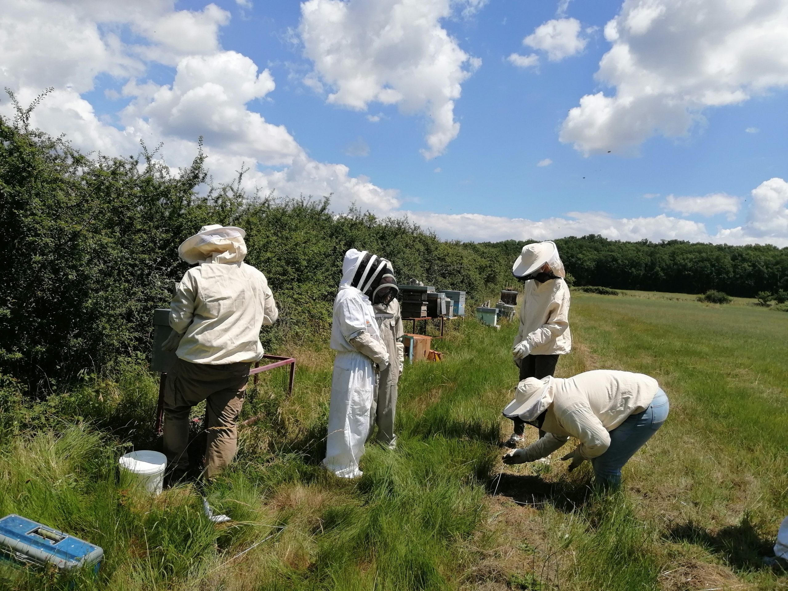 eleve apiculture 2020