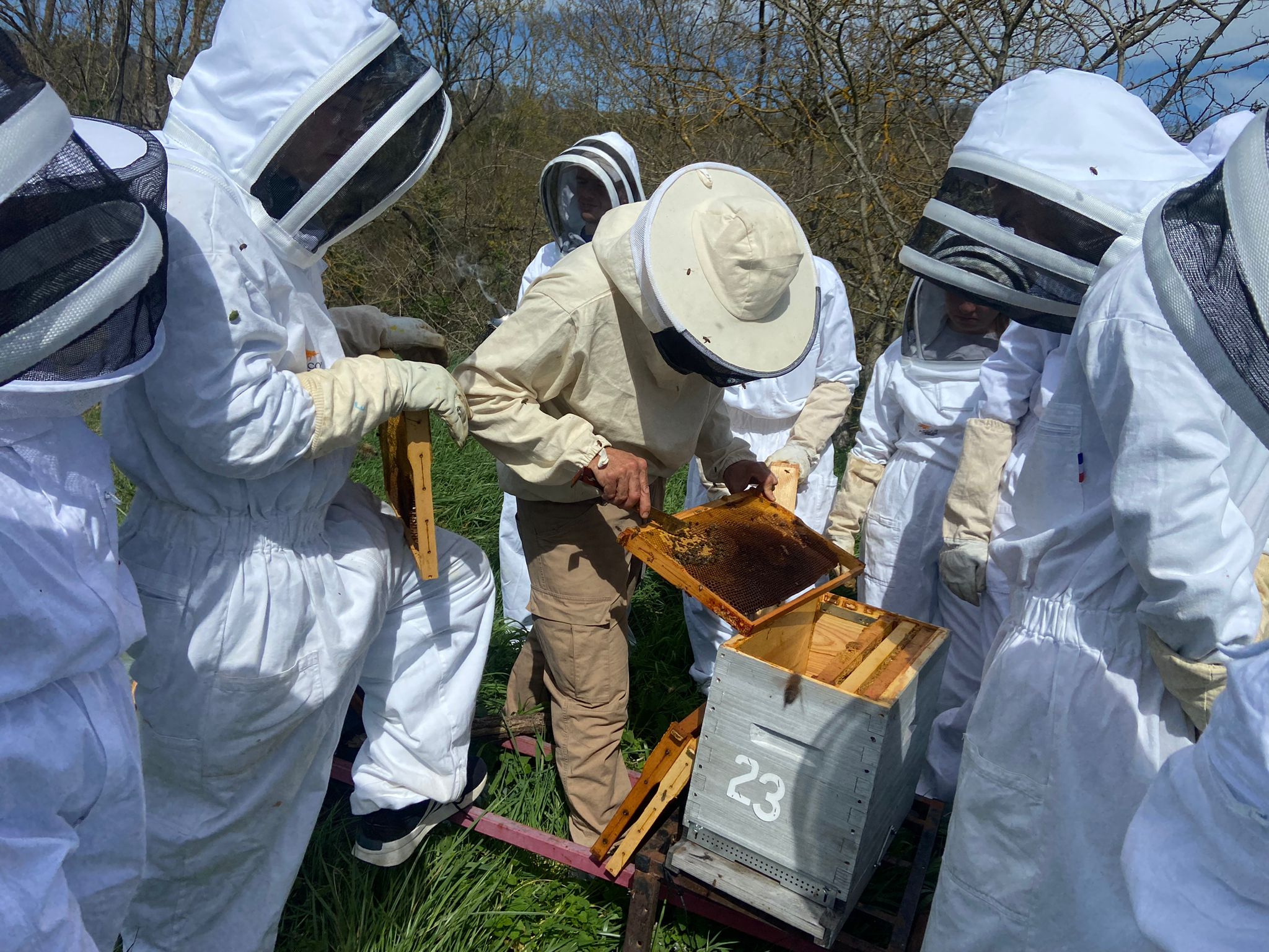 Atelier apicole