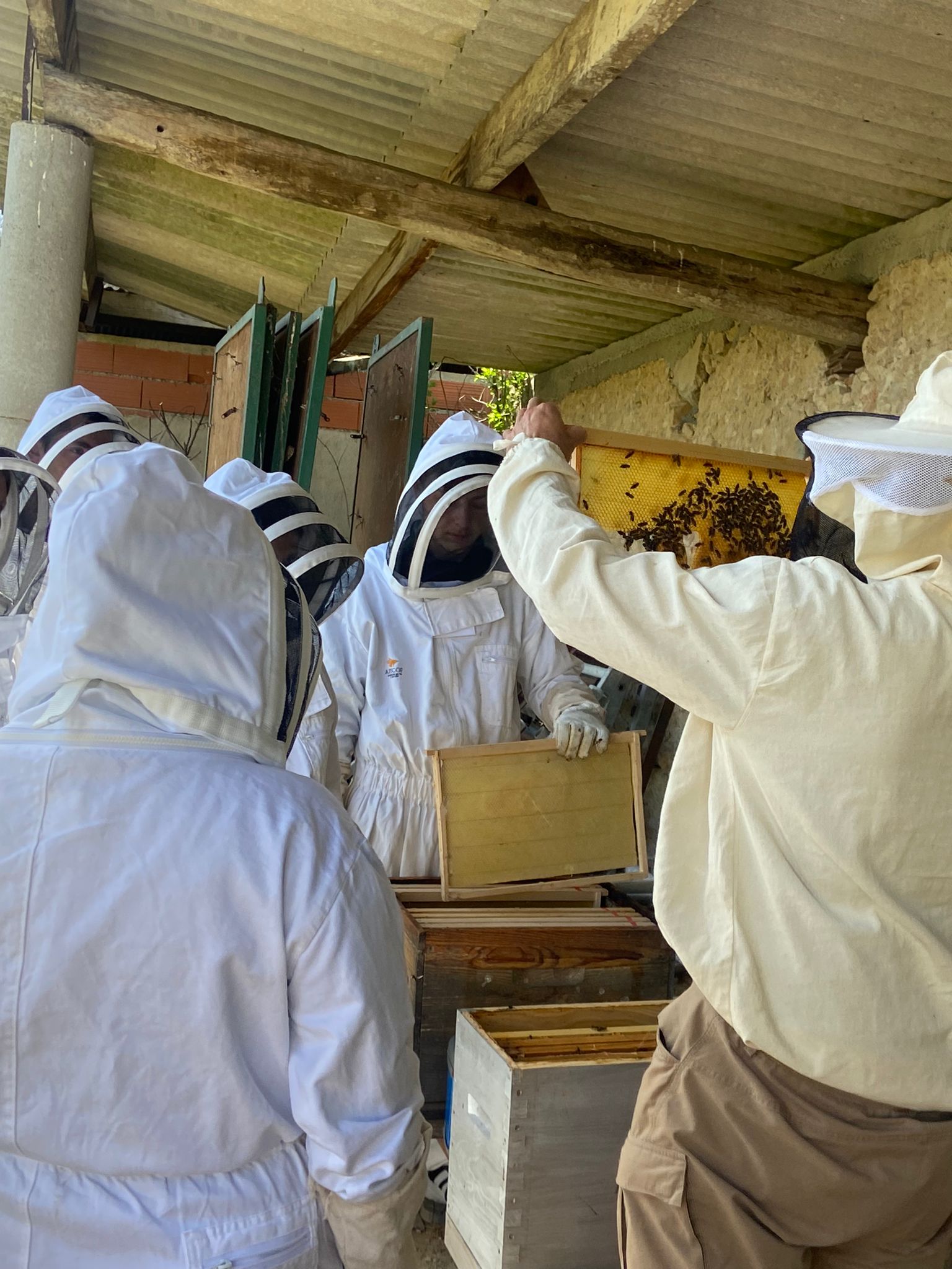 observation cadre landes