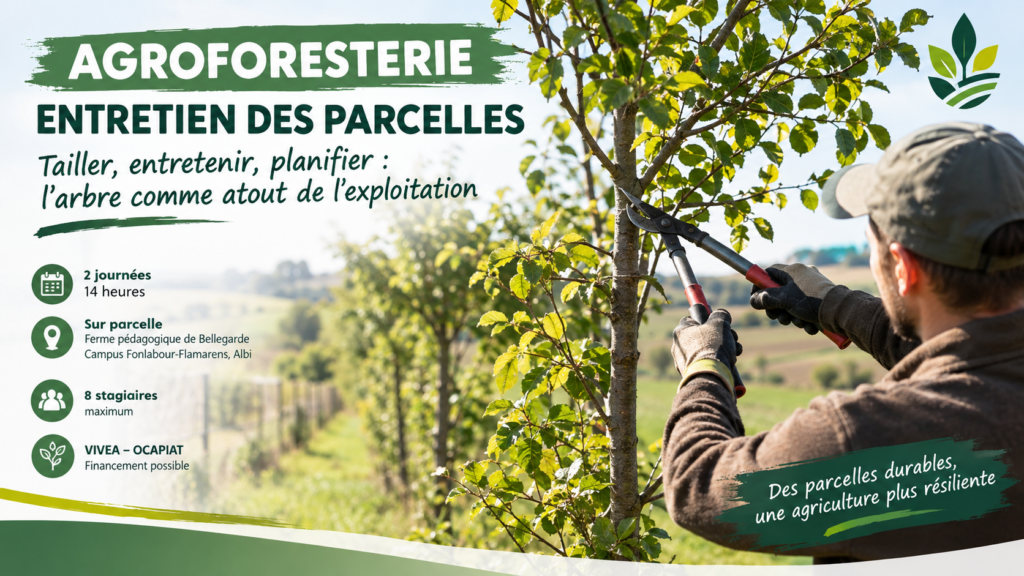 formation agroforesterie entretien
