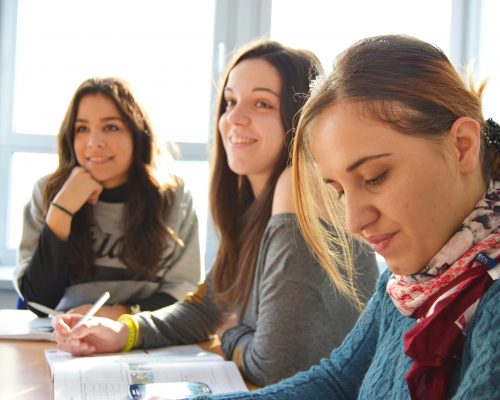 language-school-834138 language-school-834138