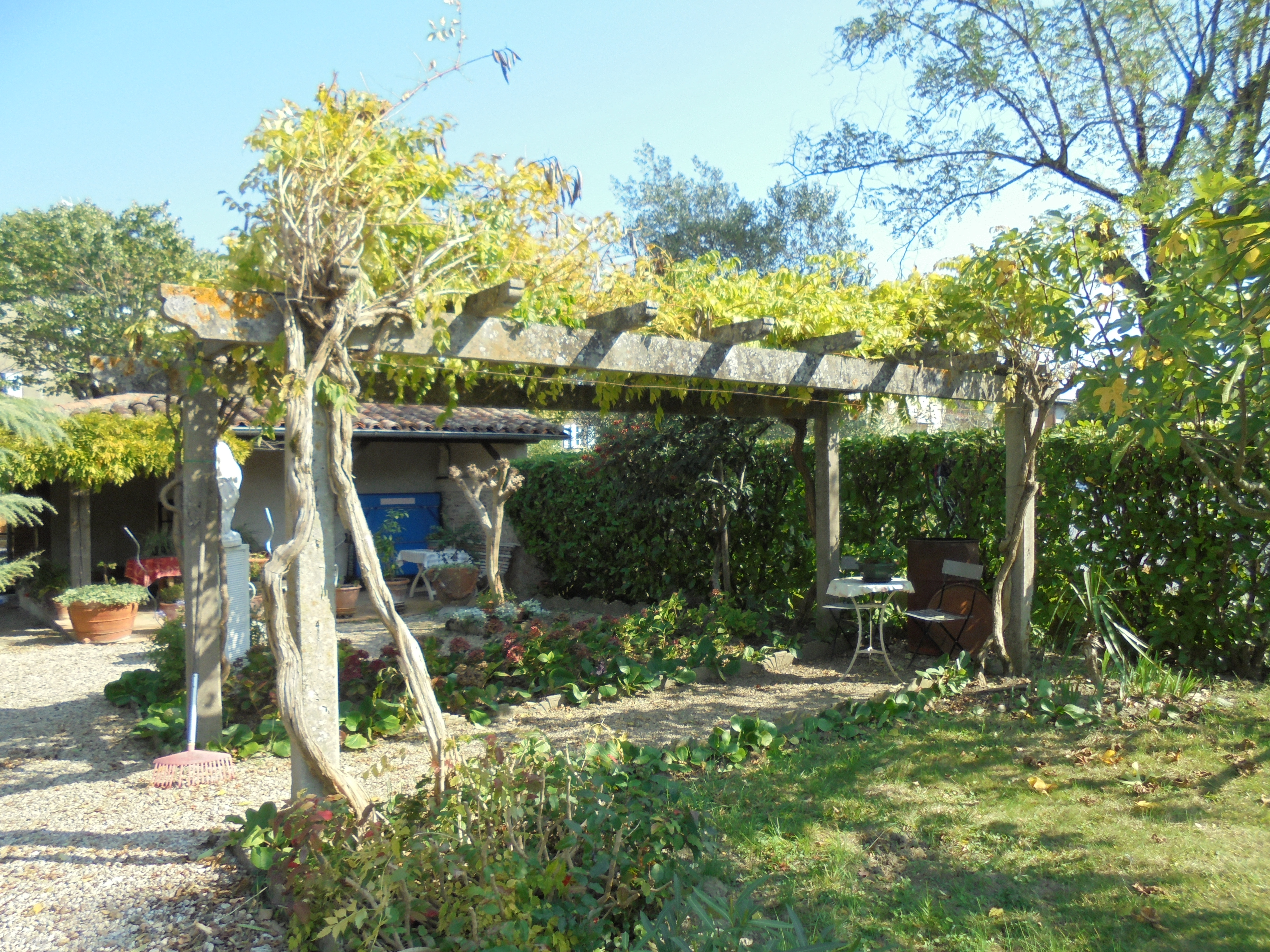 DSC02176